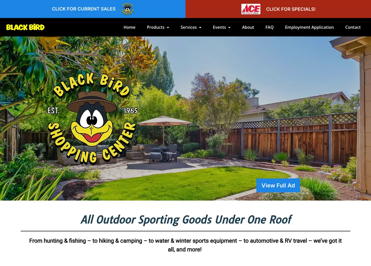 Website Messaging and Visual Identity