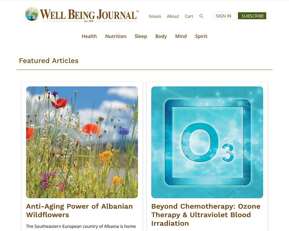 Well Being Journal website